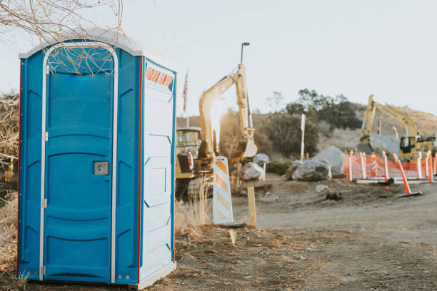 Best Luxury portable toilet rental  in Trenton, MI